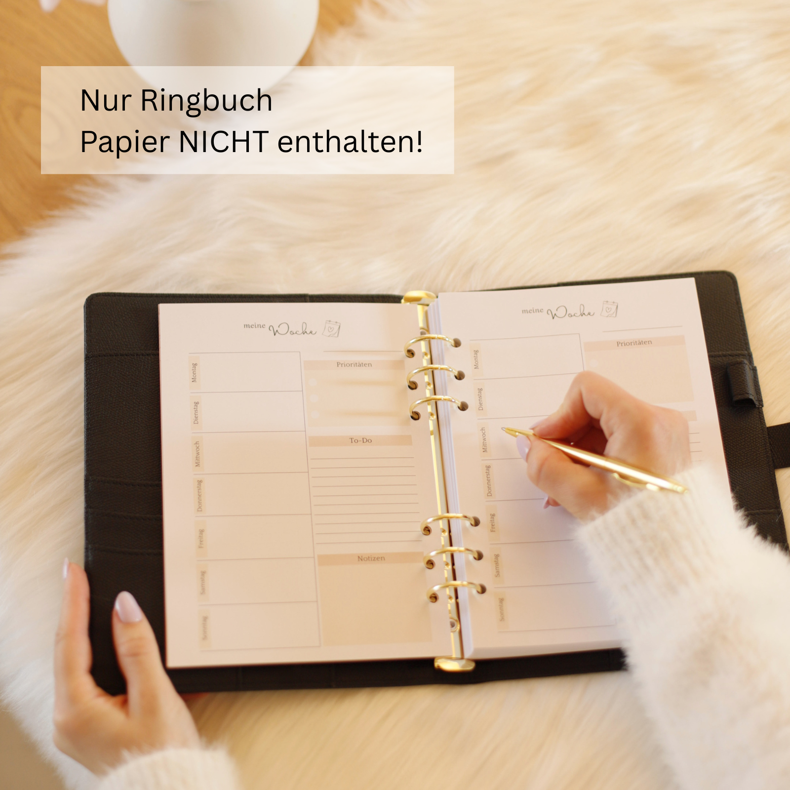 B-Ware | A5 Binder mit goldenen Ringen - Auslaufmodell